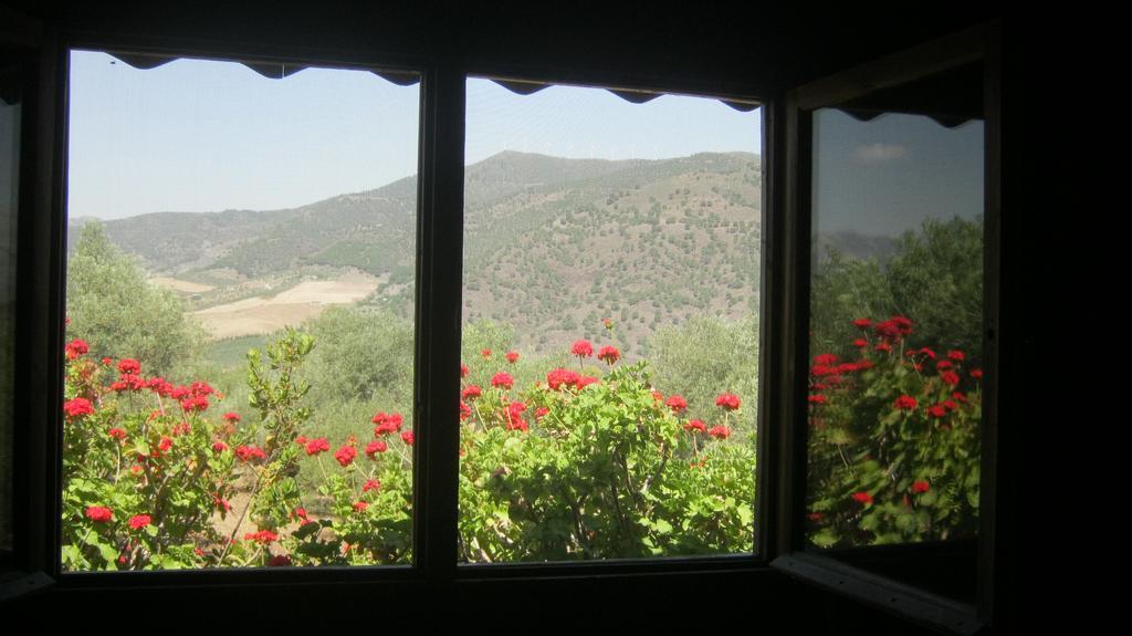 Finca La Piedra Holidays Alora Quarto foto