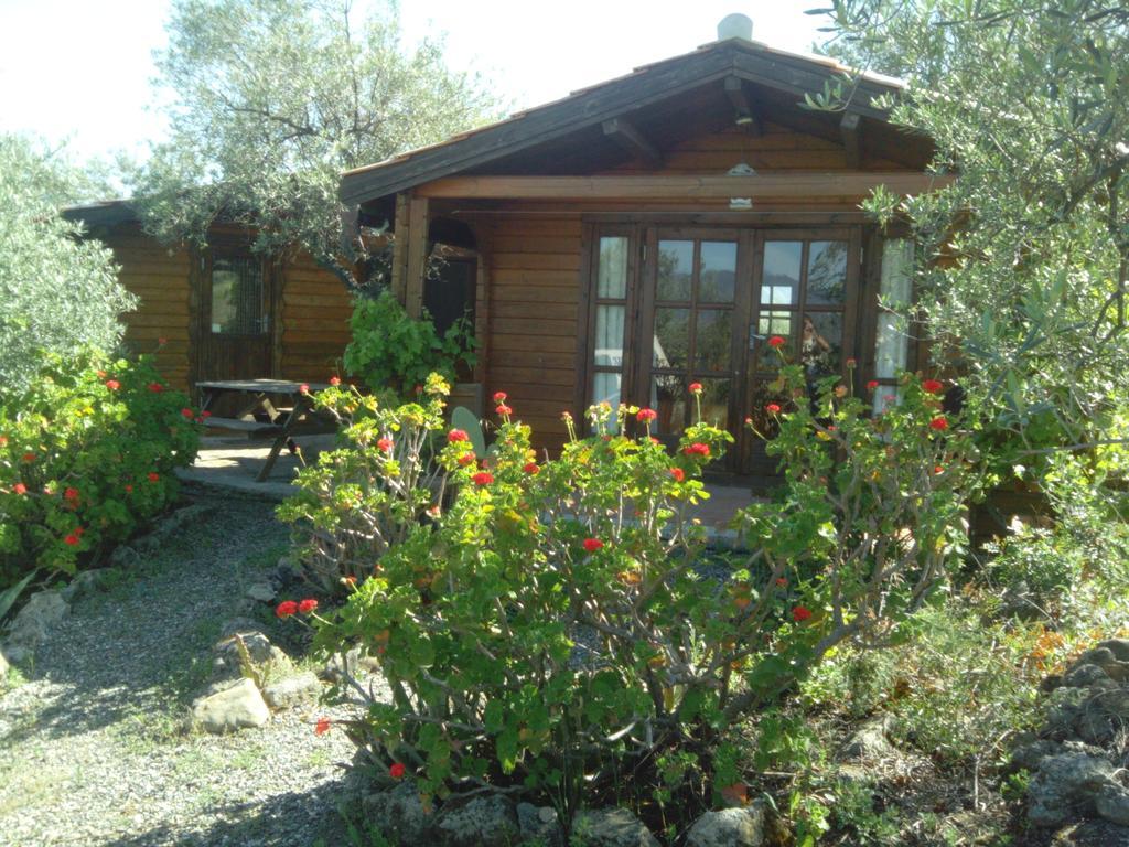 Finca La Piedra Holidays Alora Quarto foto
