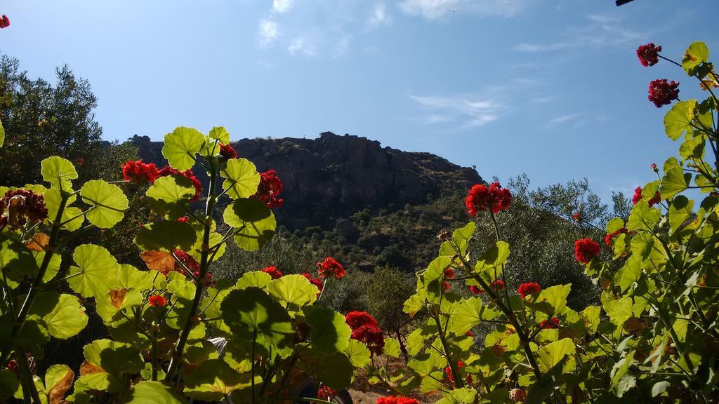 Finca La Piedra Holidays Alora Exterior foto
